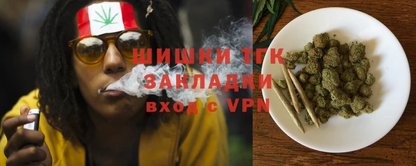 ГАЛЛЮЦИНОГЕННЫЕ ГРИБЫ Гвардейск