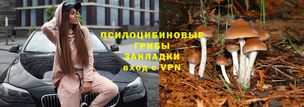 ГАЛЛЮЦИНОГЕННЫЕ ГРИБЫ Гвардейск