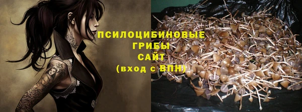 ГАЛЛЮЦИНОГЕННЫЕ ГРИБЫ Гвардейск