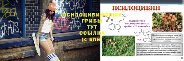 марки lsd Галич