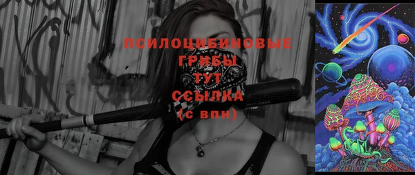 ГАЛЛЮЦИНОГЕННЫЕ ГРИБЫ Гвардейск