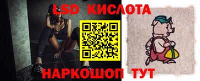 шишки Абакан
