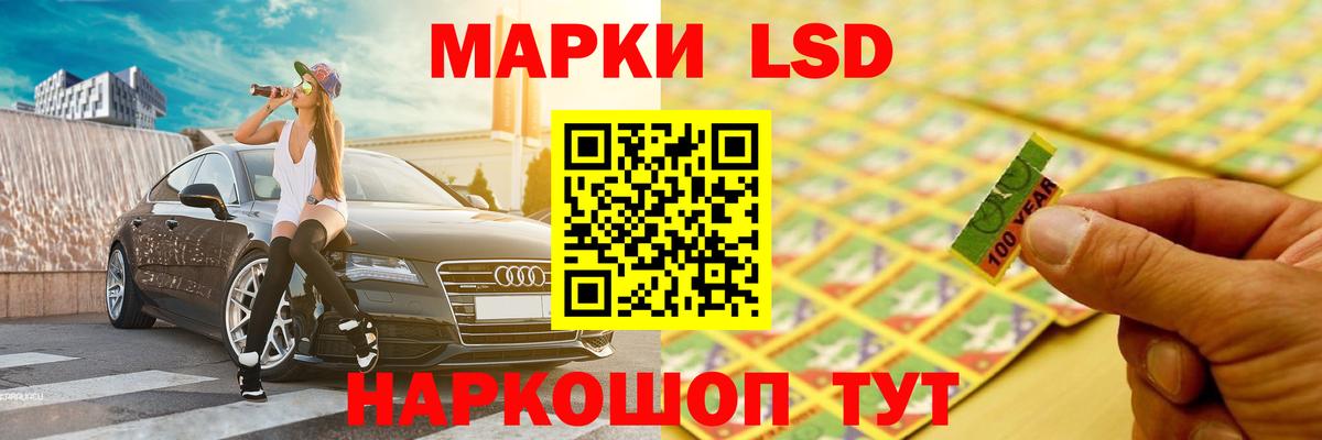 MDMA Санкт-Петербург