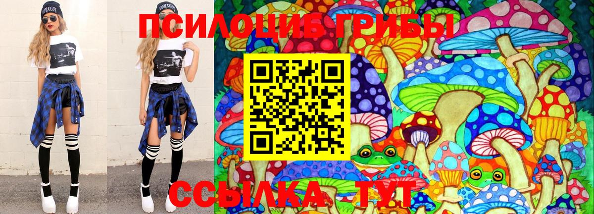 дарнет шоп  Санкт-Петербург  Галлюциногенные грибы Cubensis 