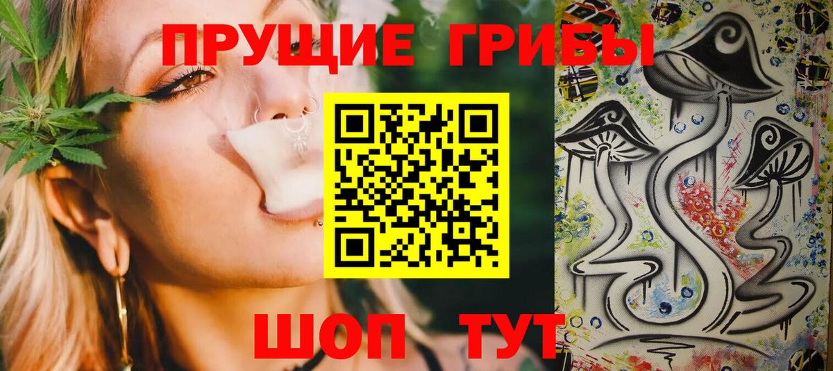 Псилоцибиновые грибы Psilocybine cubensis Санкт-Петербург