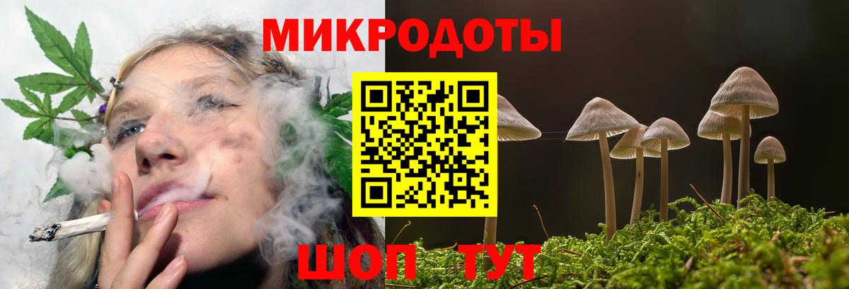 Санкт-Петербург  Галлюциногенные грибы Psilocybine cubensis  Вход с VPN 